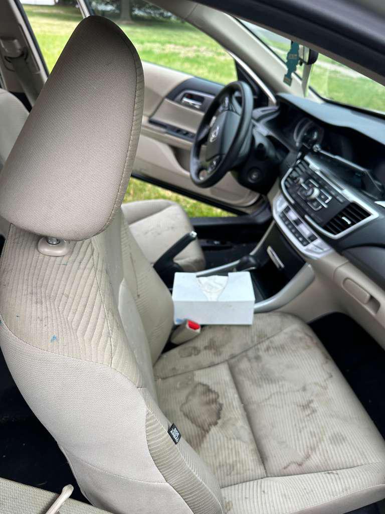 Dirty front seat before detailing