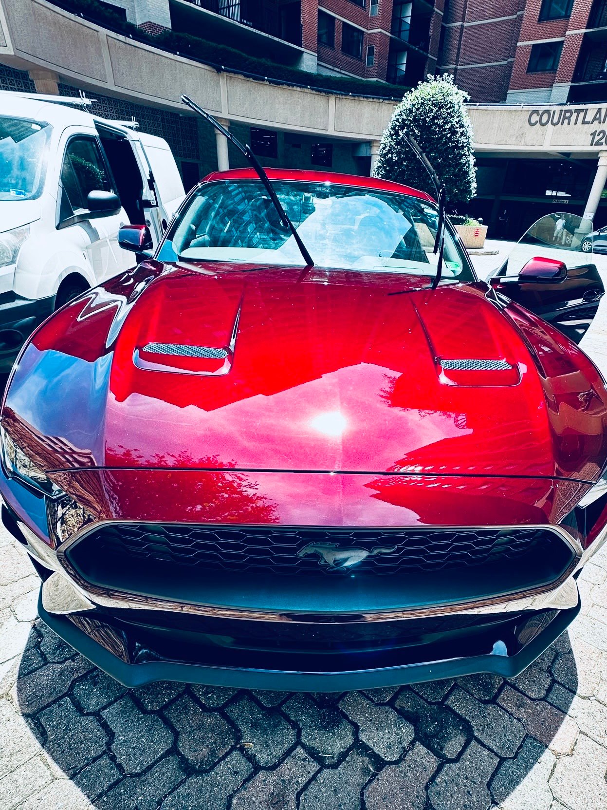 Mobile exterior car detailing
