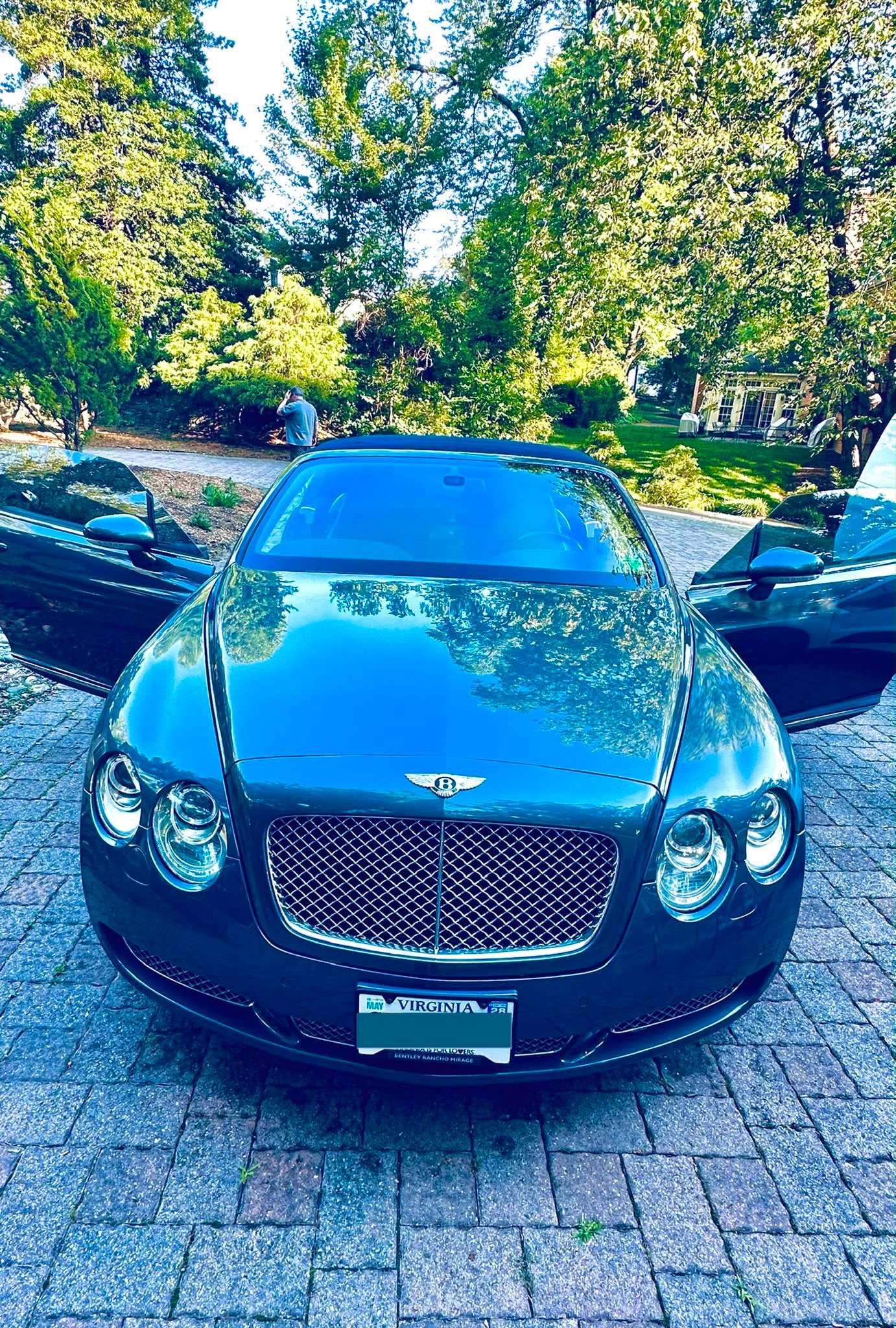 Professional exterior detailing