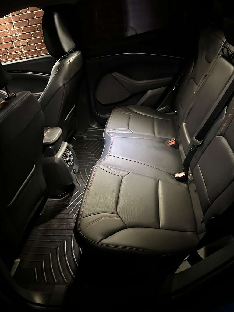 Floor mat shampoo detailing